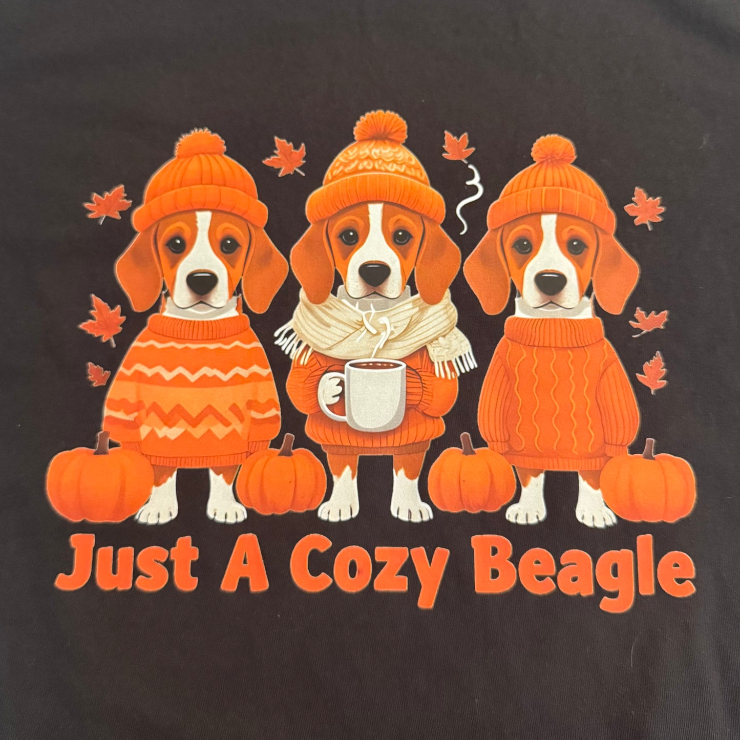 Just A Cozy Beagle T-Shirt