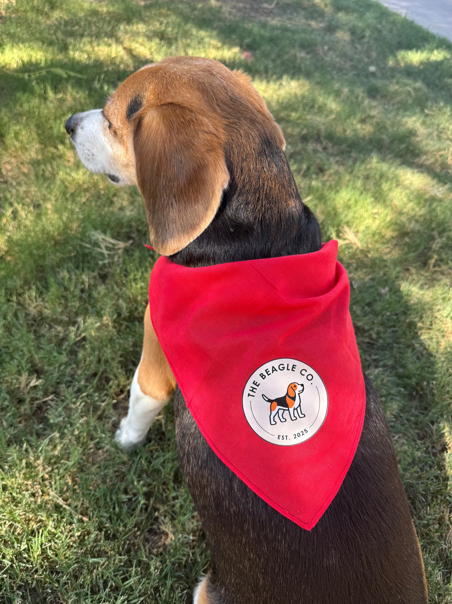 The Beagle Co. Dog Bandana
