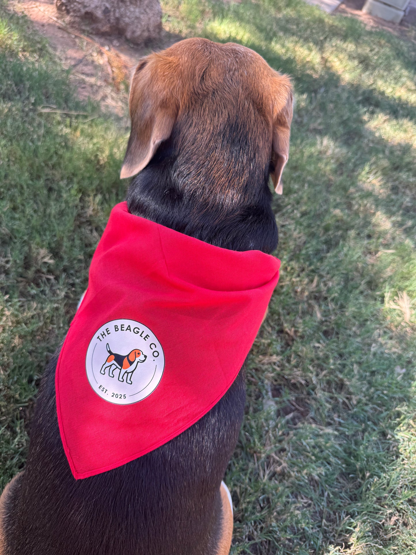 The Beagle Co. Dog Bandana